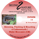89-DVD256